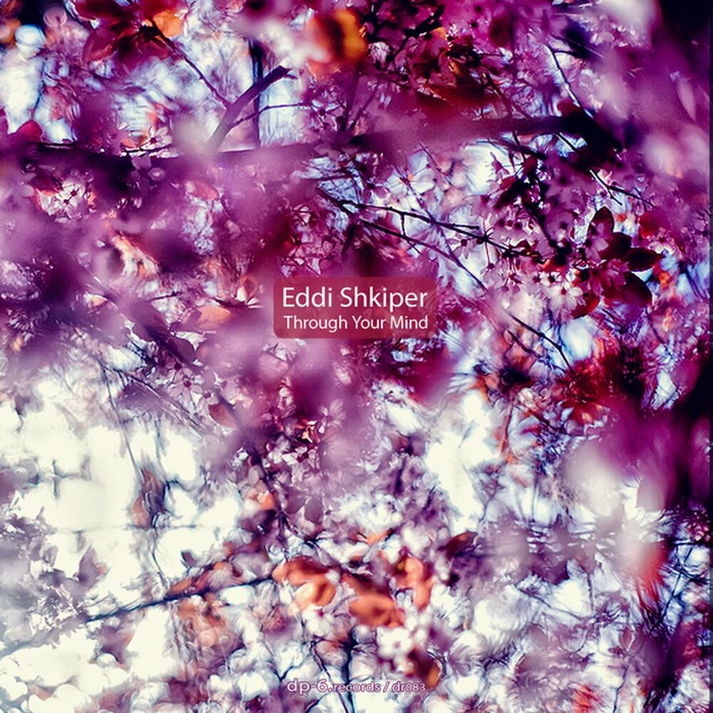 Picture of Through Your Mind