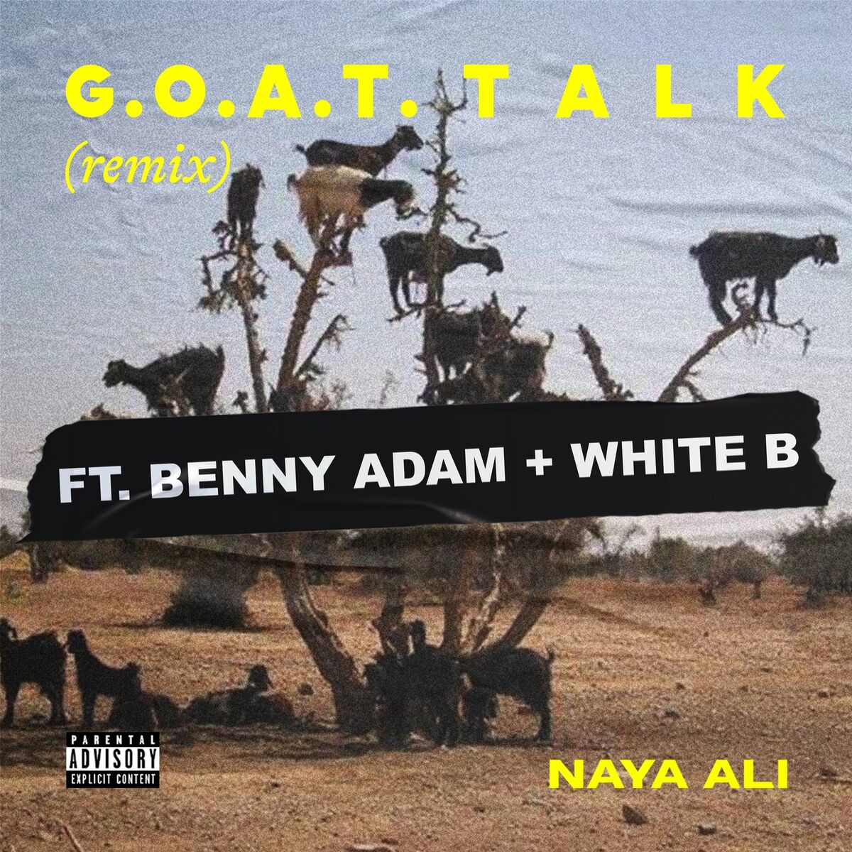 Album cover of G.O.A.T. Talk (Remix)