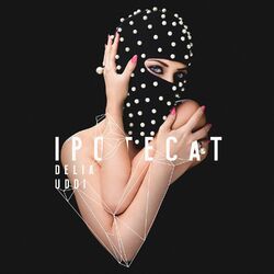 Pochette album