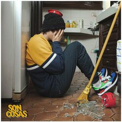 Cover of Son Cosas