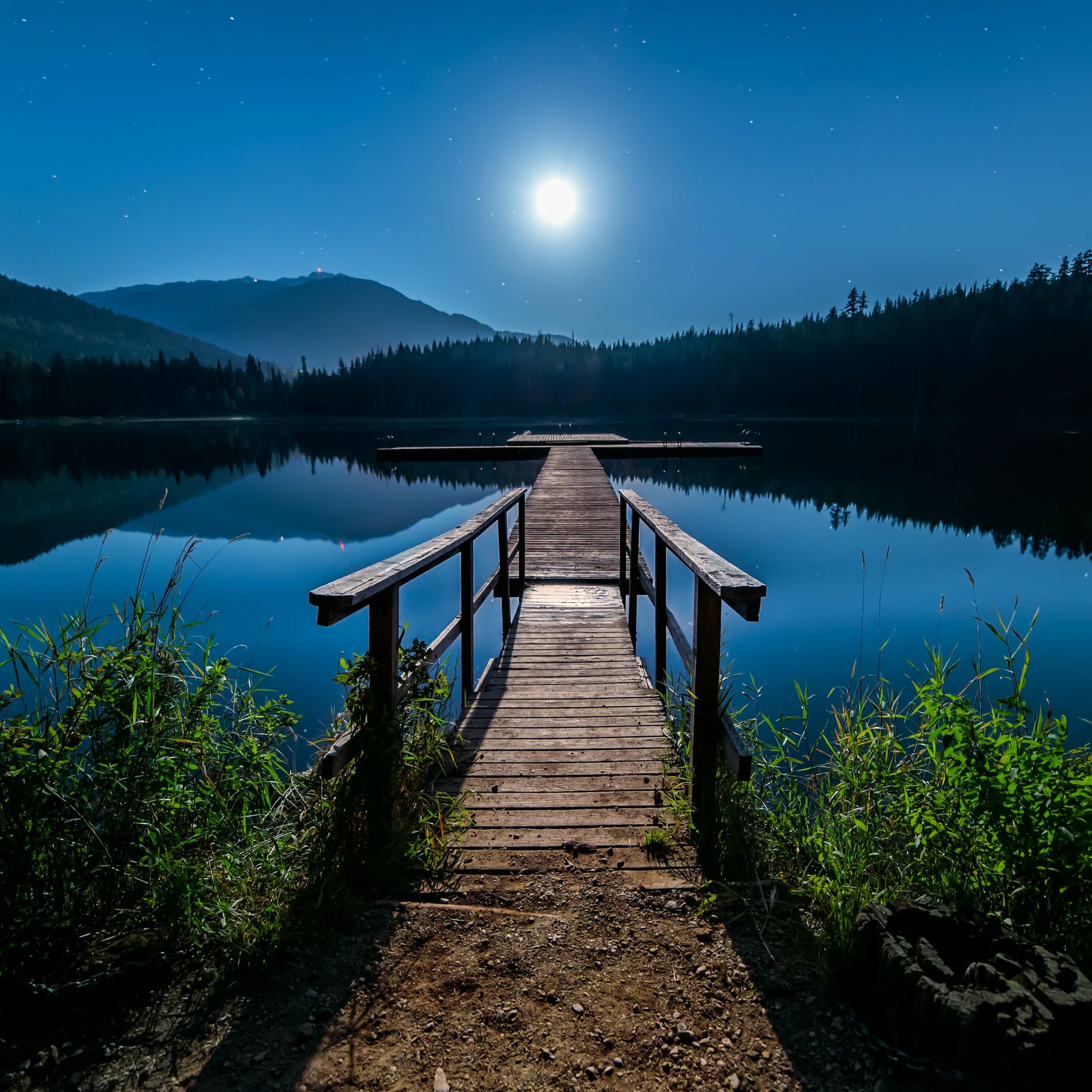 Album cover of Racing to the Moonlight