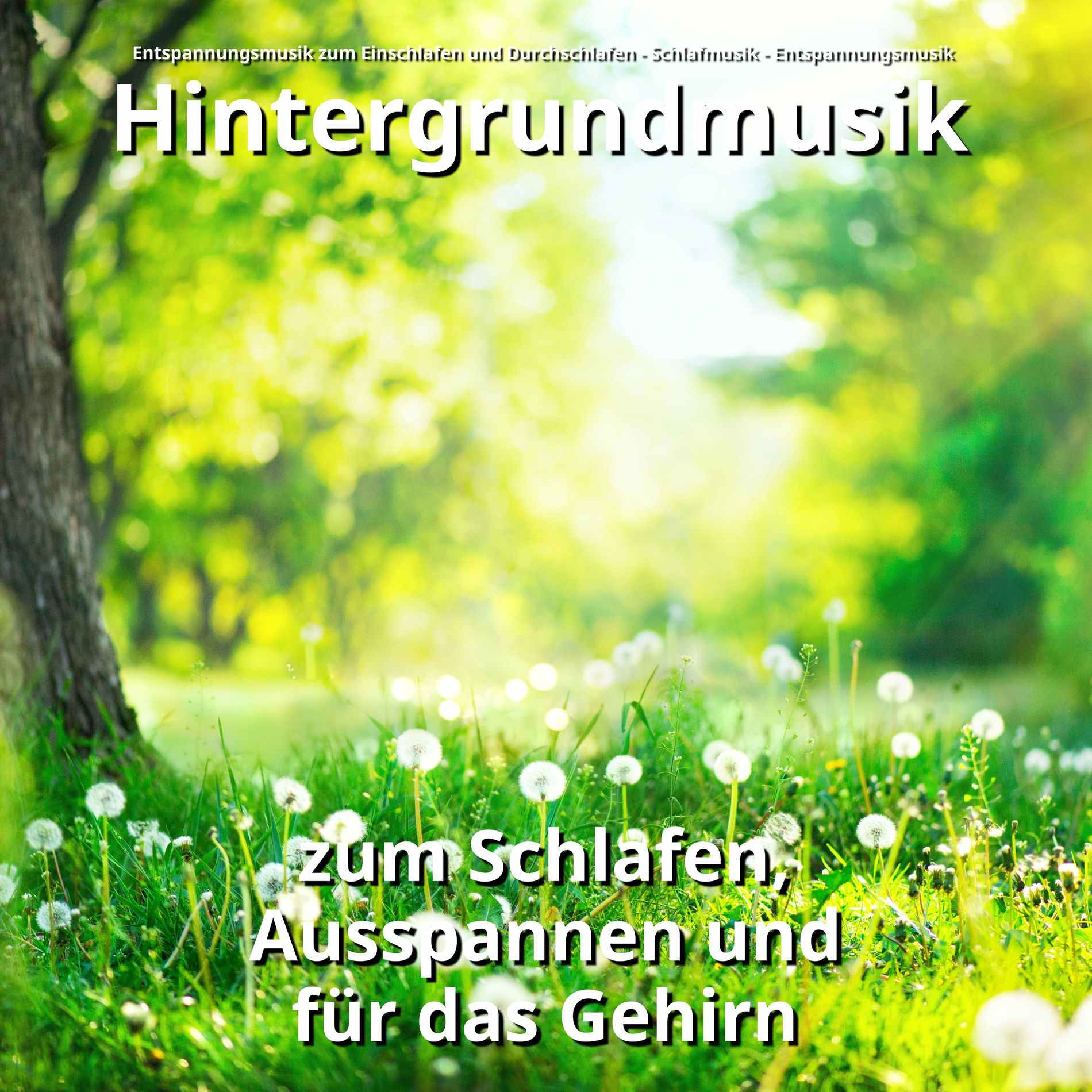 Album cover of Instrumental für Geist und Körper