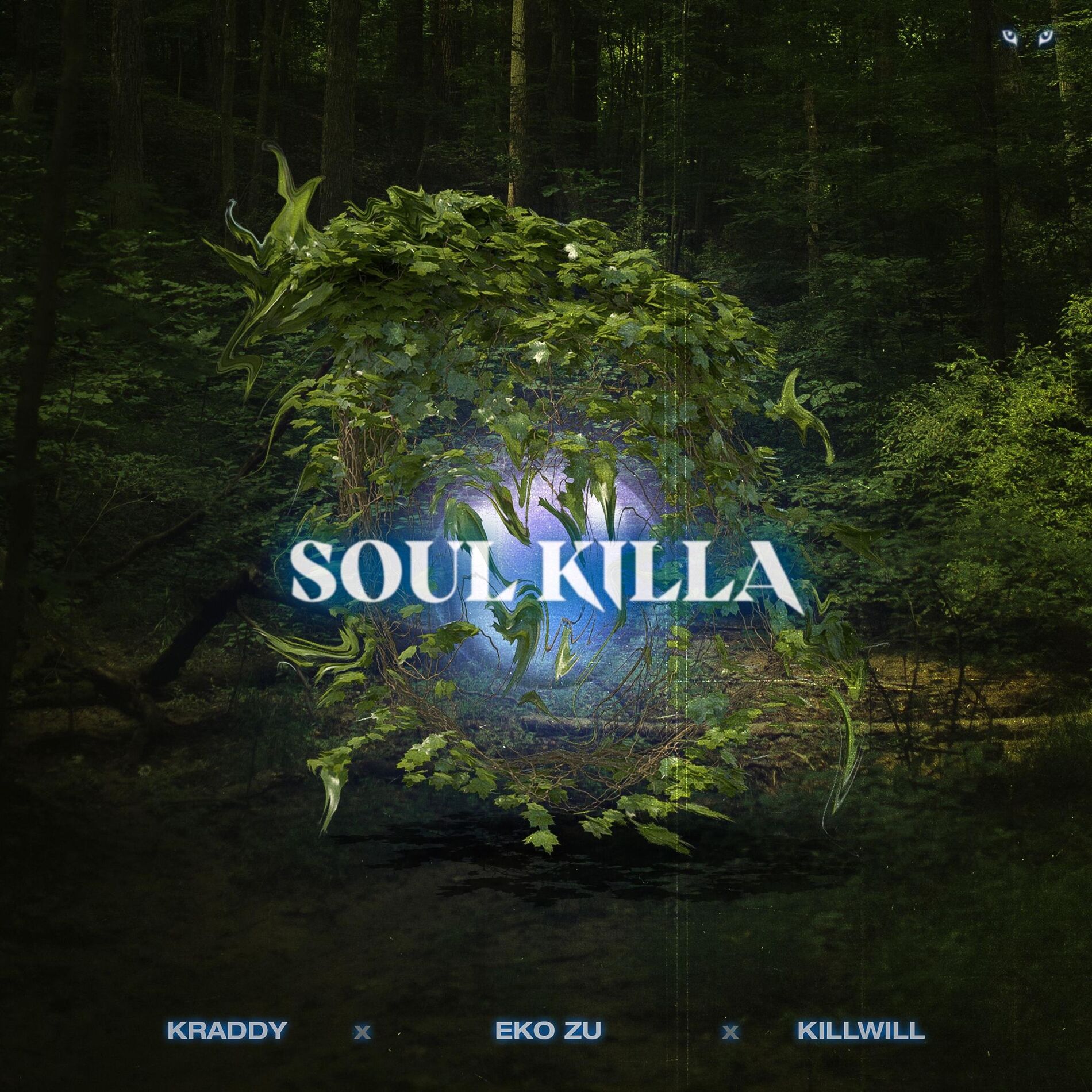 Album cover of Soul Killa
