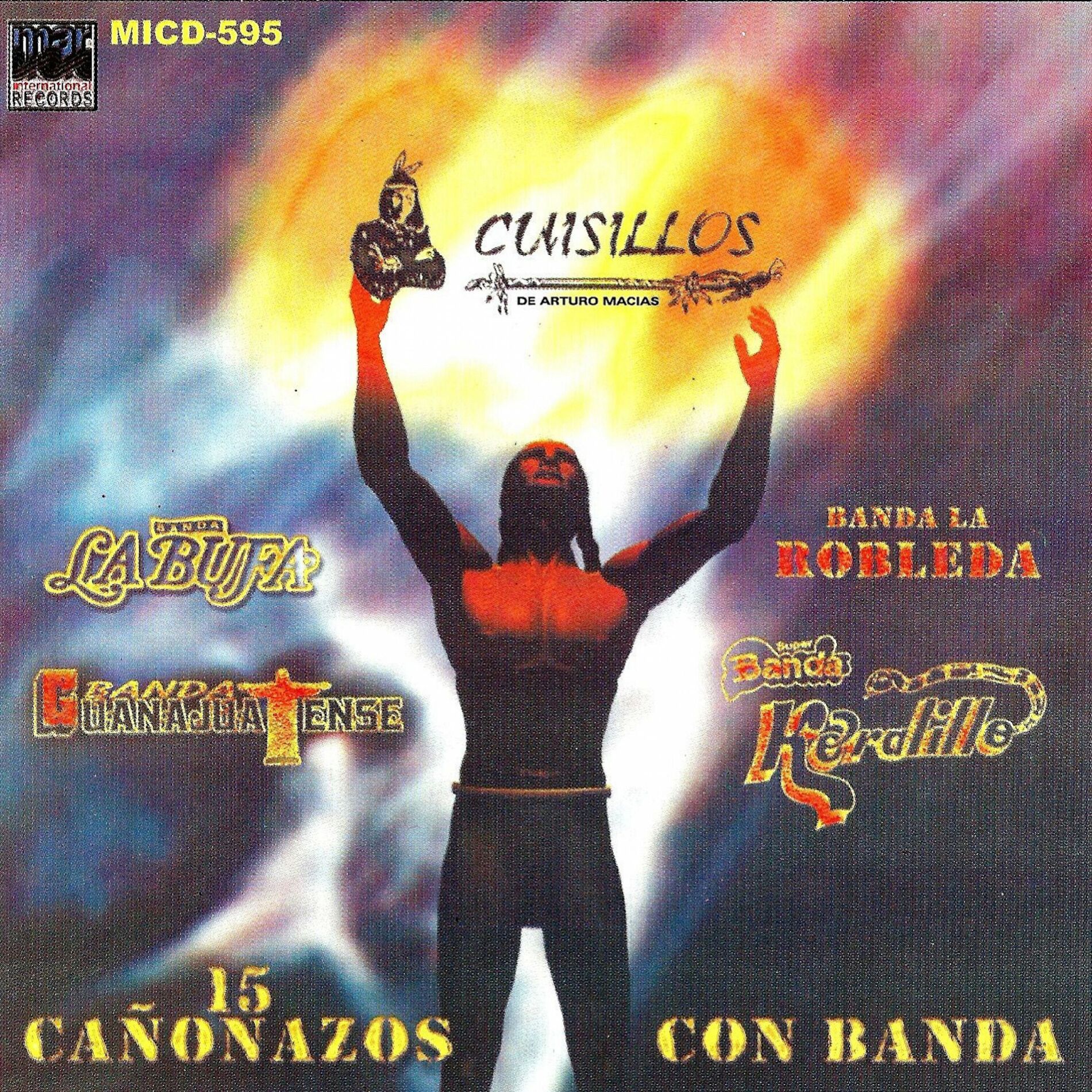 Album cover of 15 Canonazos