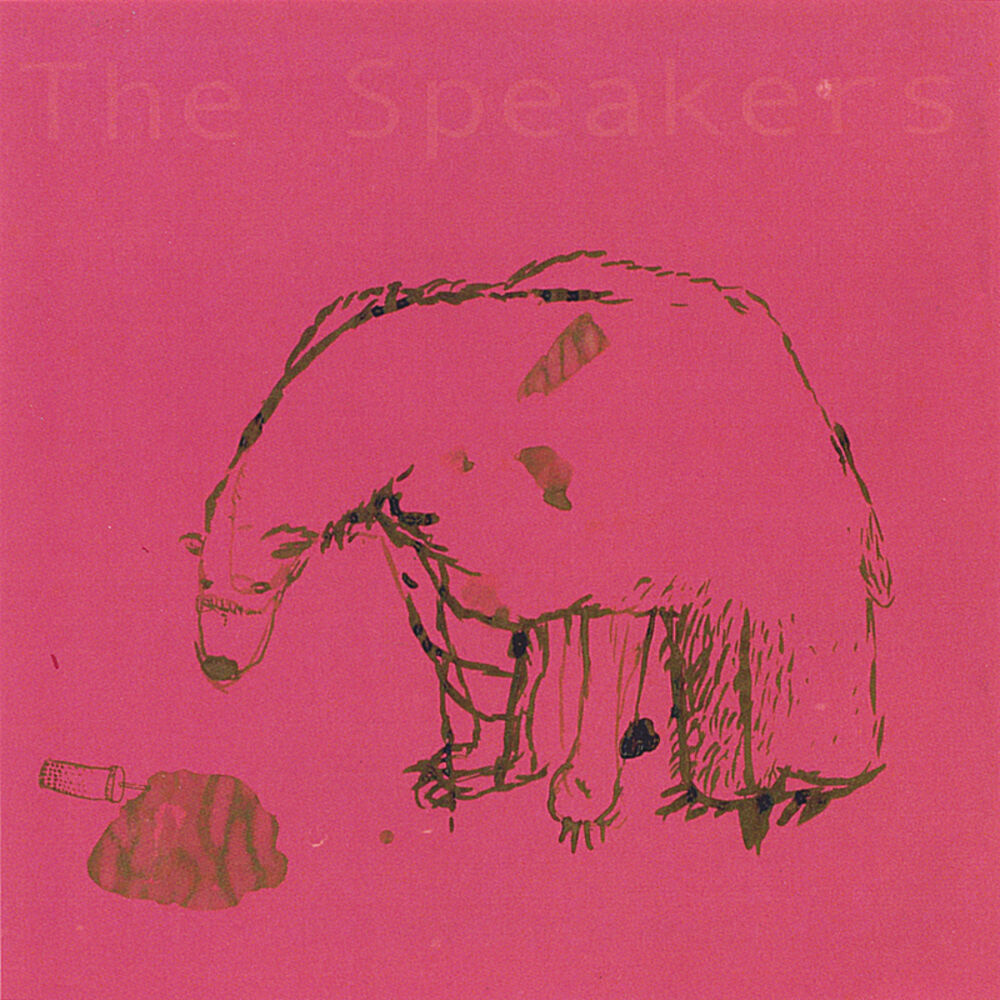 Picture of Bear & Soda