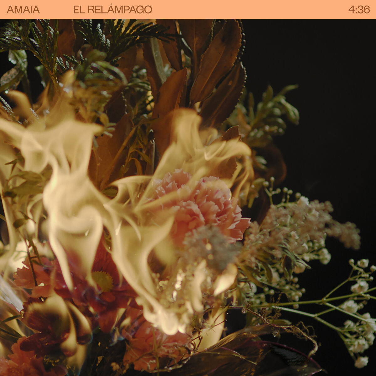 Album cover of El Relámpago