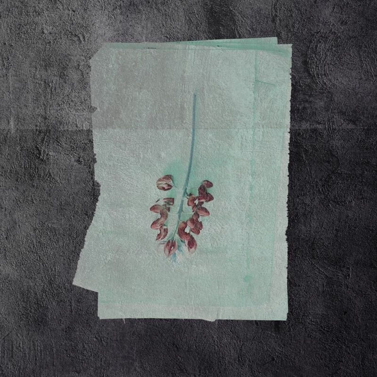 Album cover of Heaven Horizons