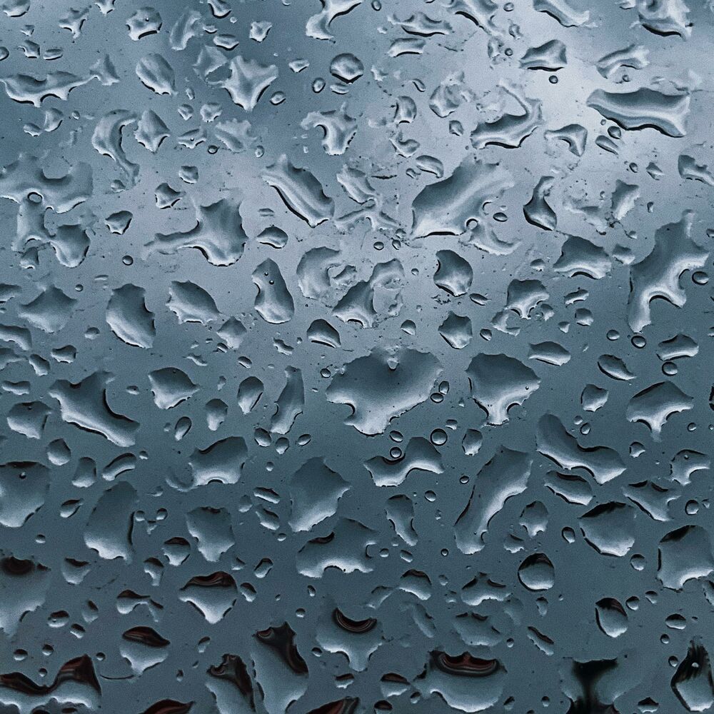 Picture of Nothing To See