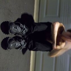 Cover of Shreks