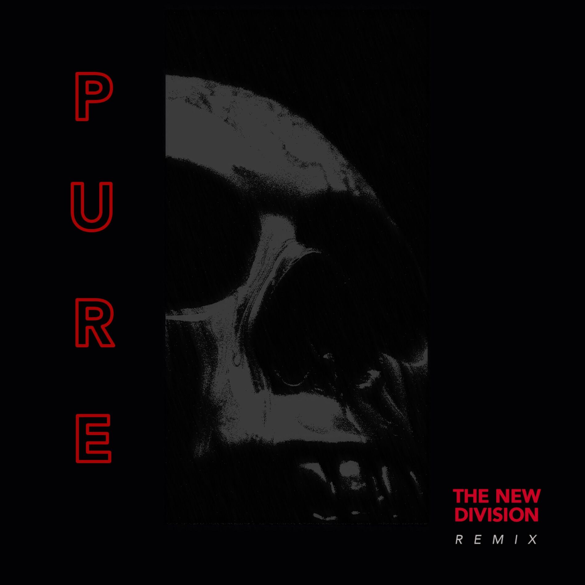 Album cover of Pure (feat. The New Division)