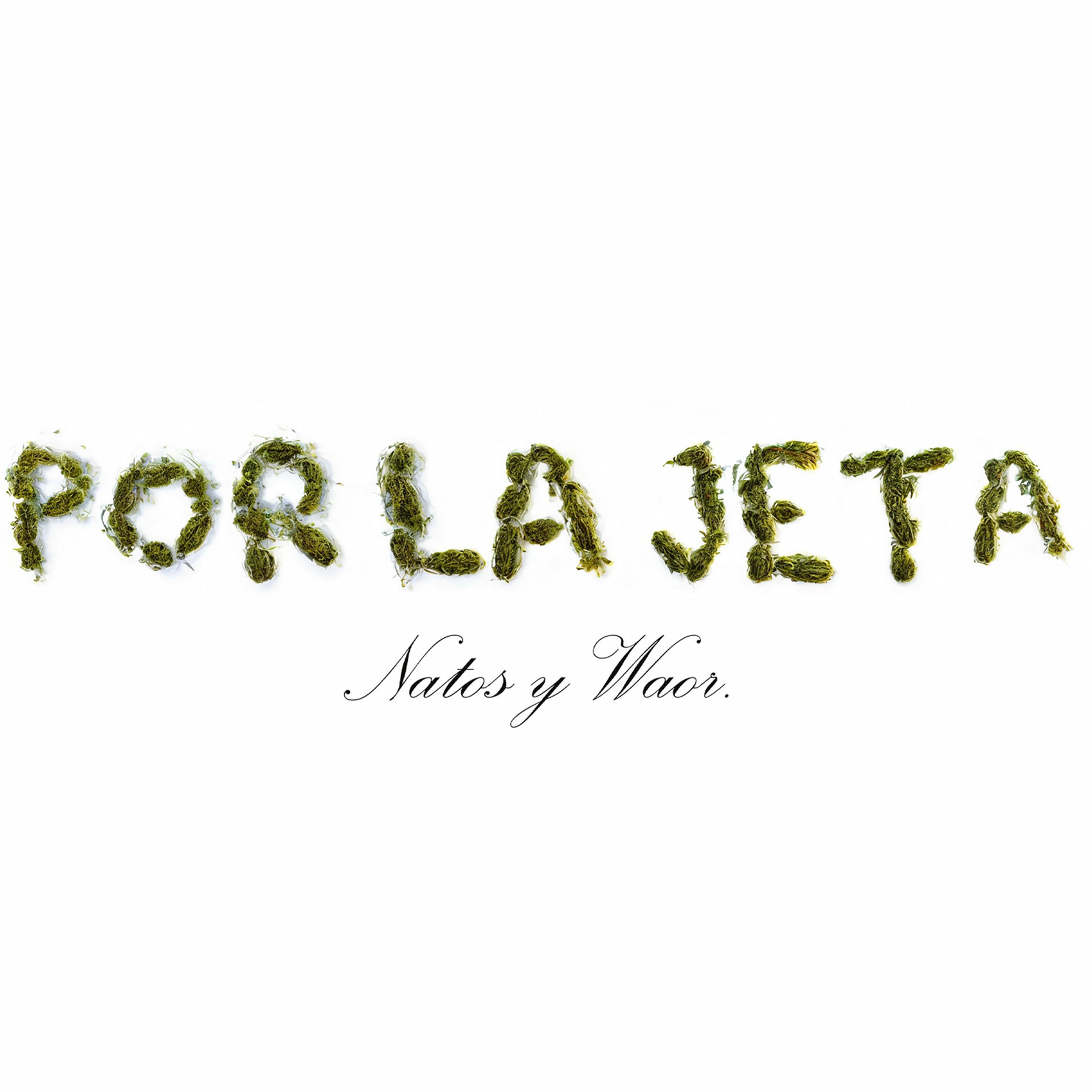 Album cover of Por la jeta