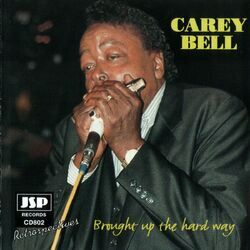 Cover of Brought Up The Hard Way