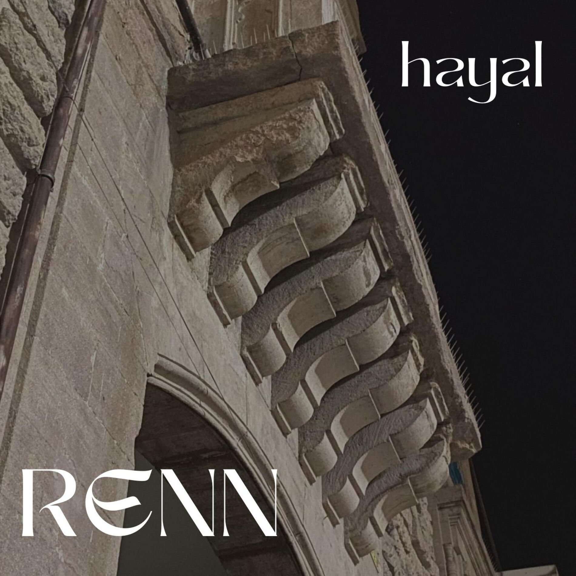Album cover of HAYAL