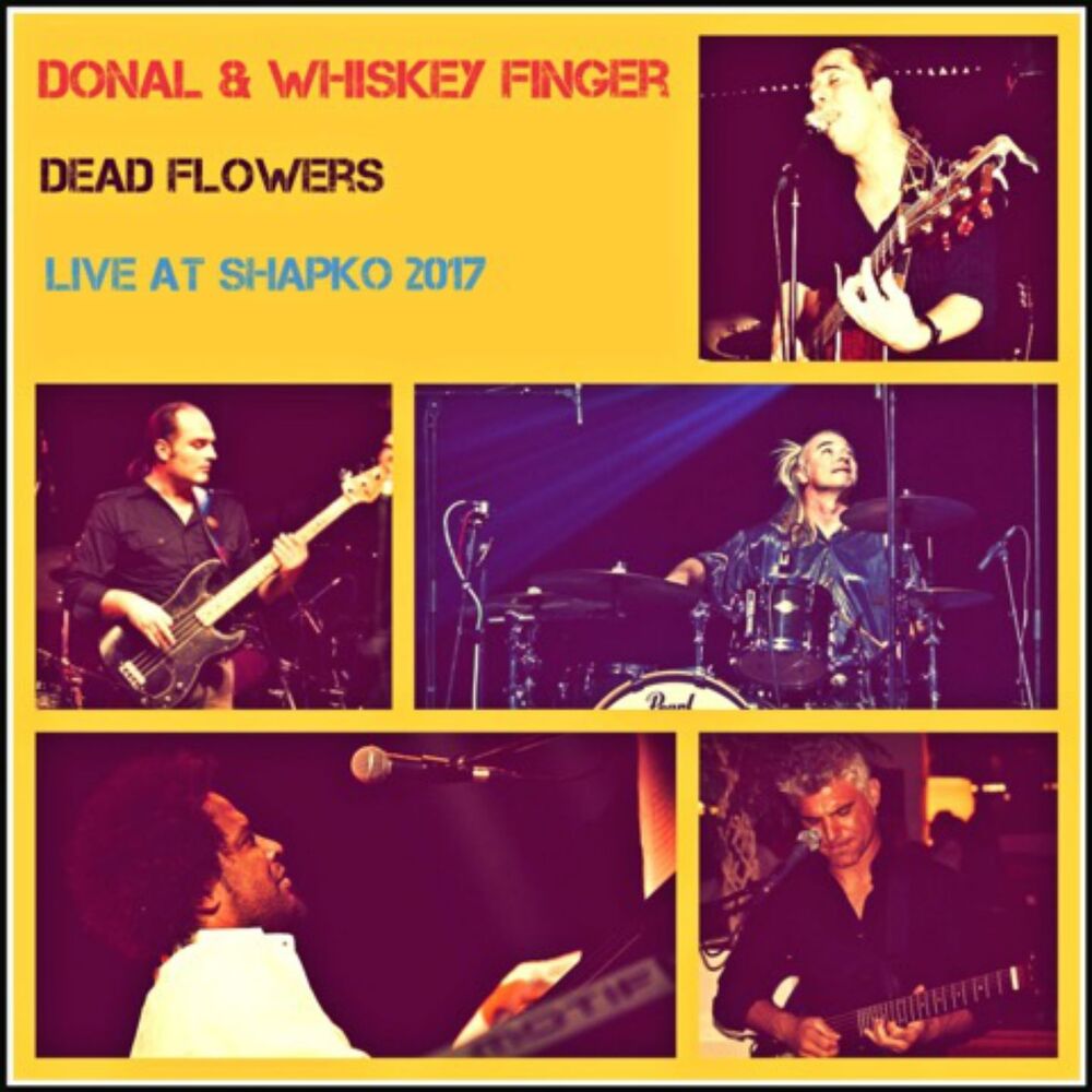 Picture of Dead Flowers (Live at Shapko 2017)