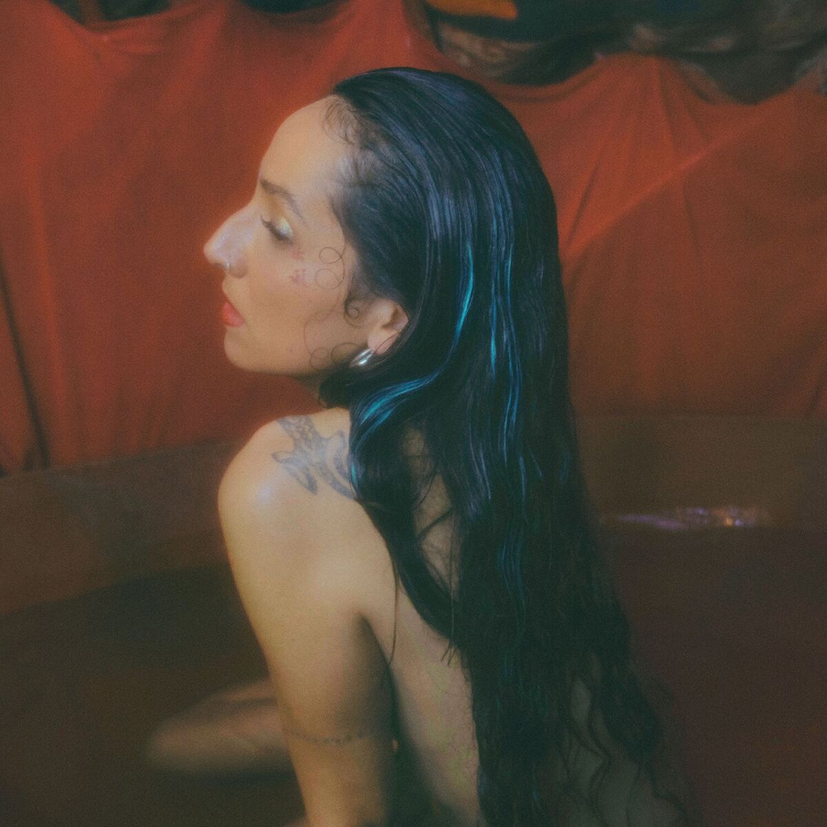Album cover of Les Mains Bleues