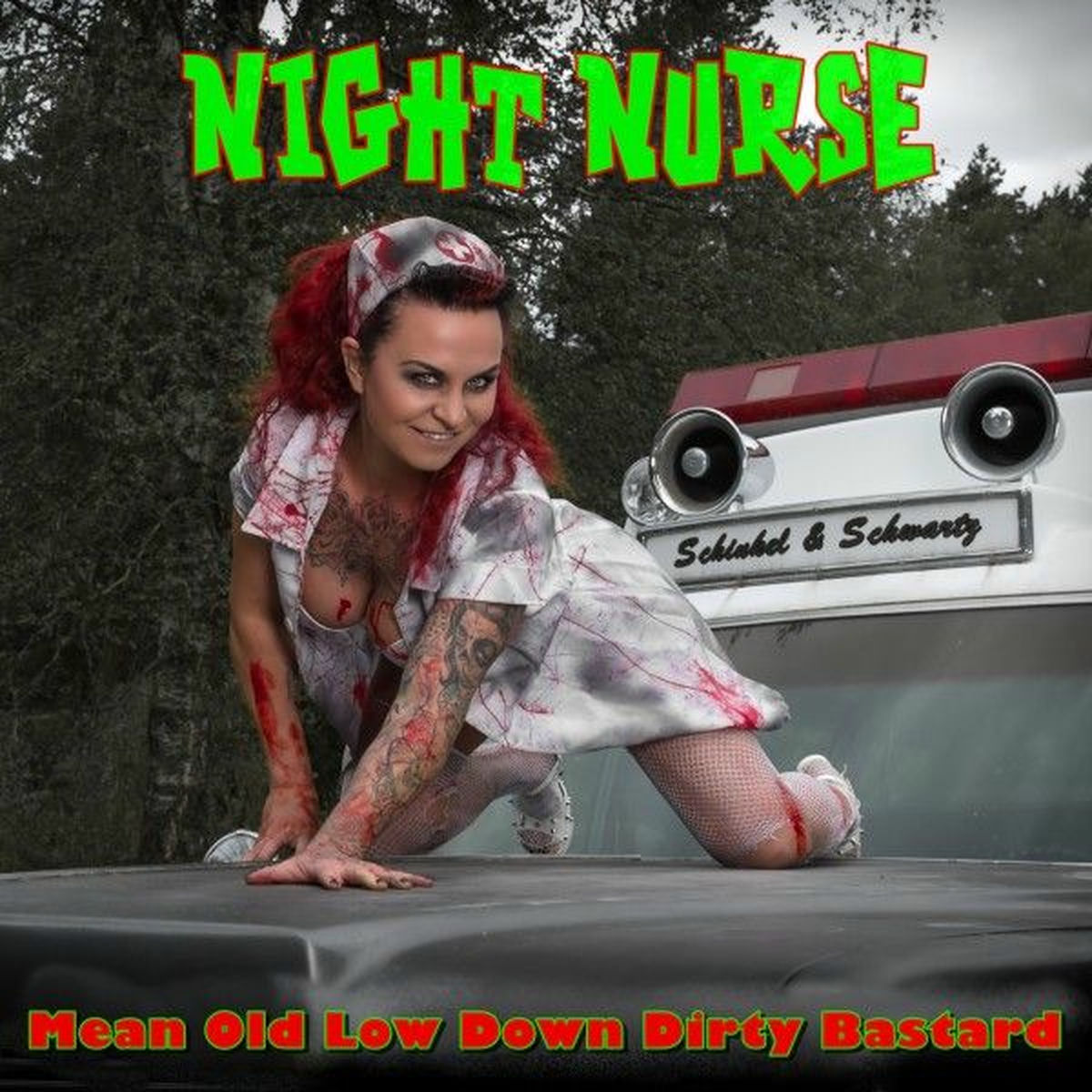 Album cover of Mean Old Low Down Dirty Bastard