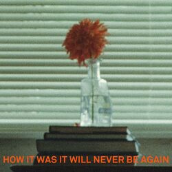 Cover of How It Was It Will Never Be Again