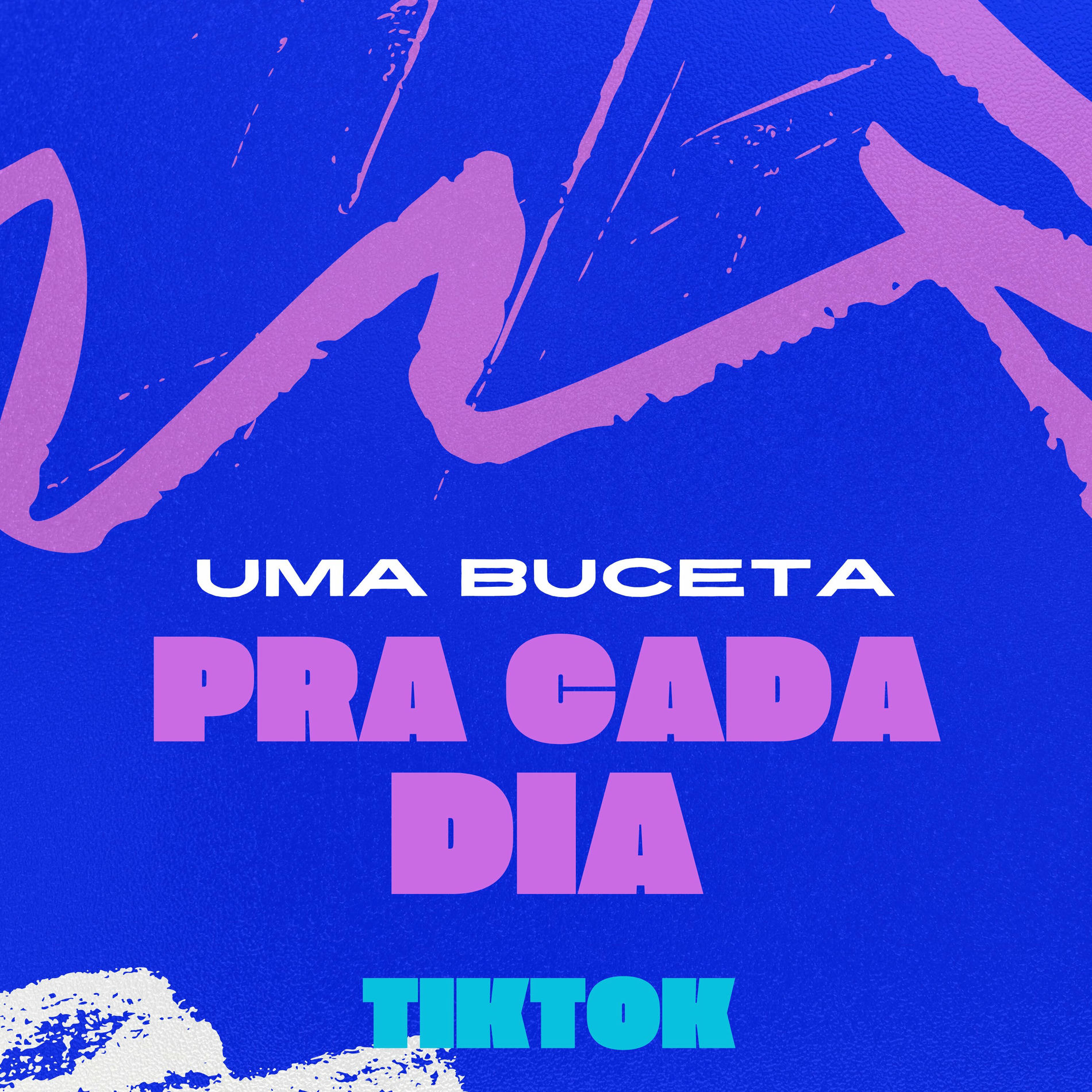 Album cover of Uma Buceta pra Cada Dia - Tik Tok