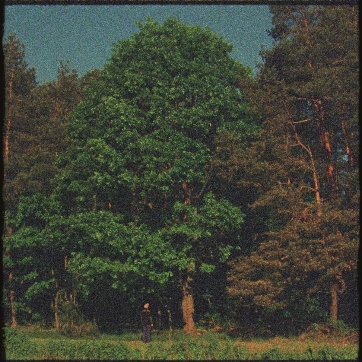 Album cover of Małomiasteczkowy