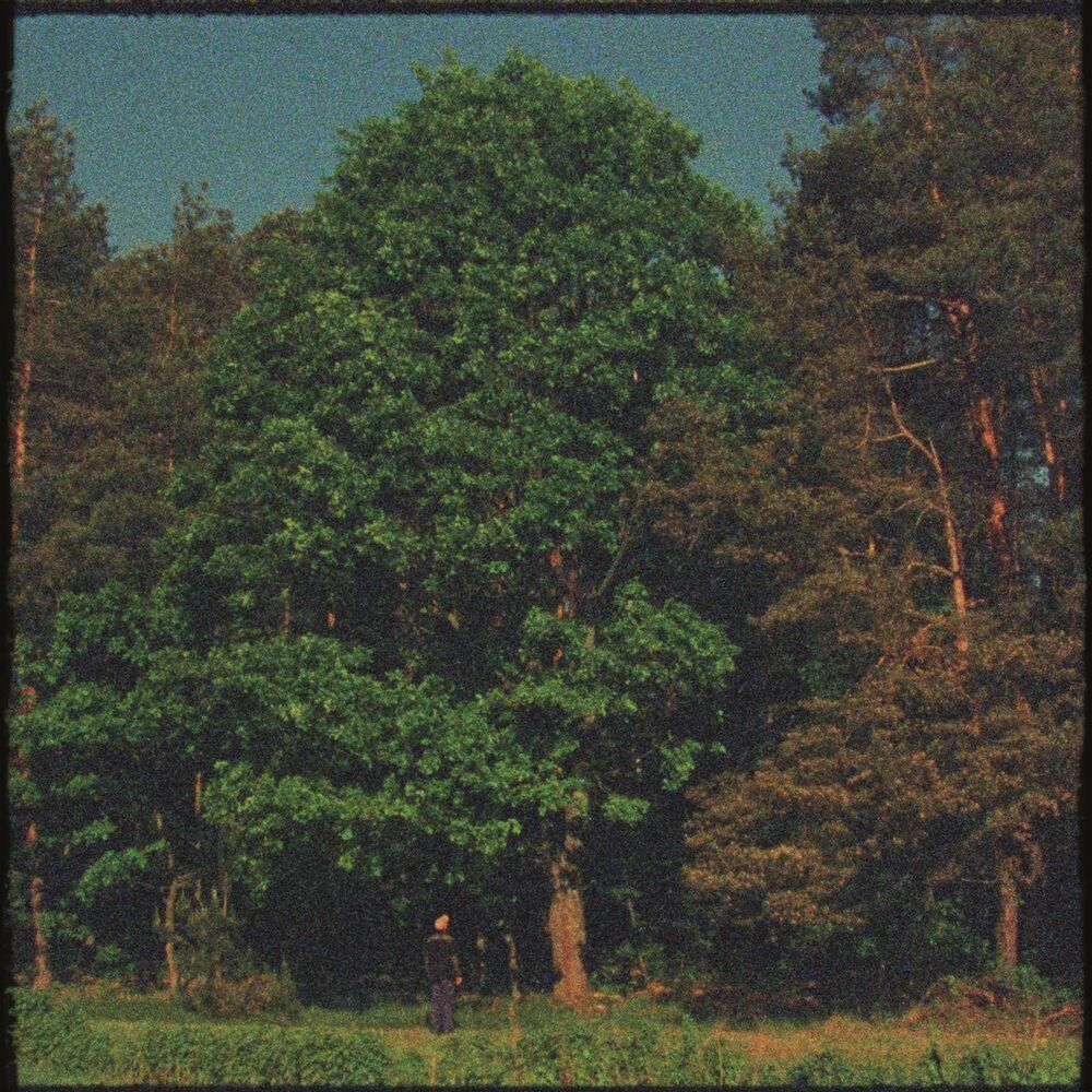 Picture of Małomiasteczkowy