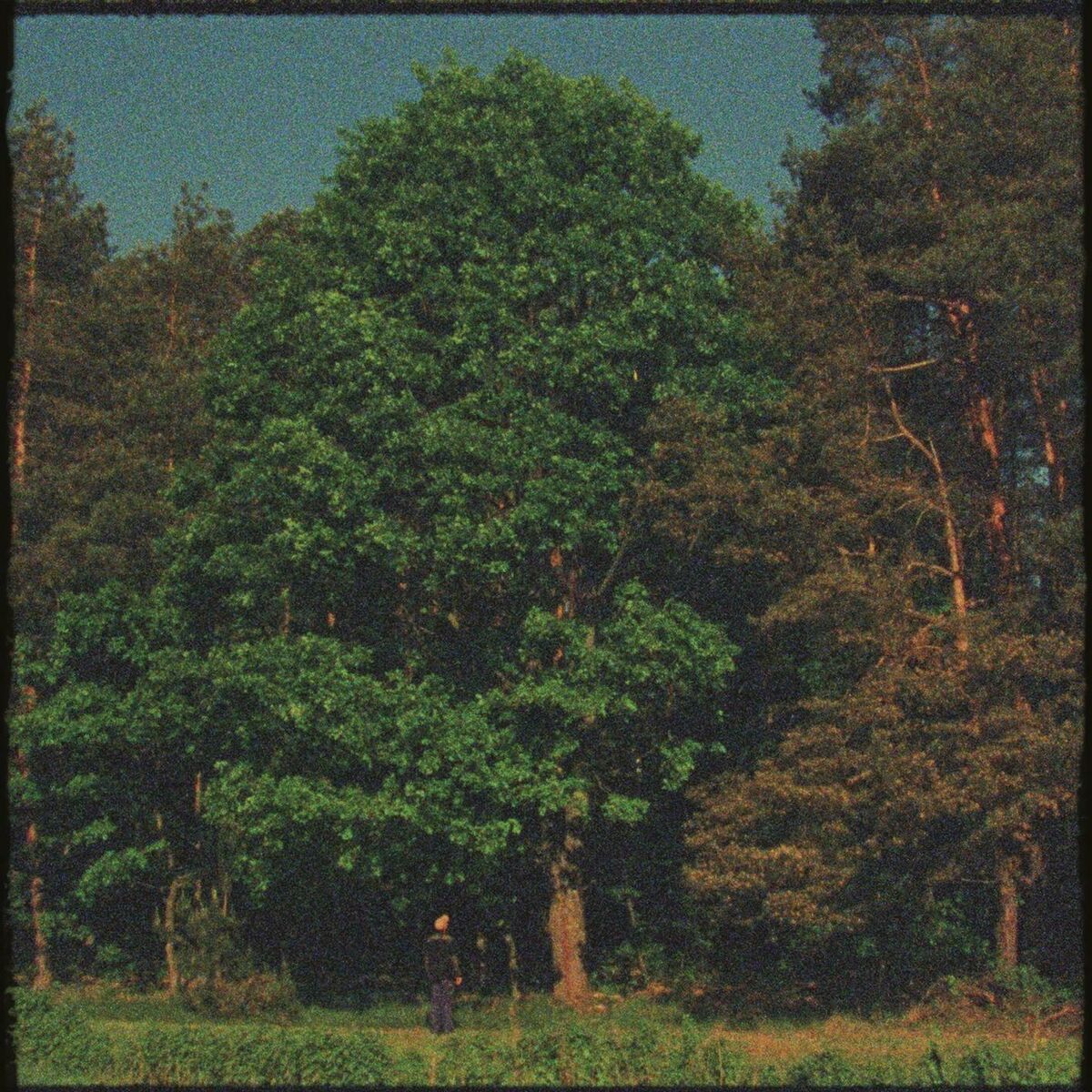 Album cover of Małomiasteczkowy