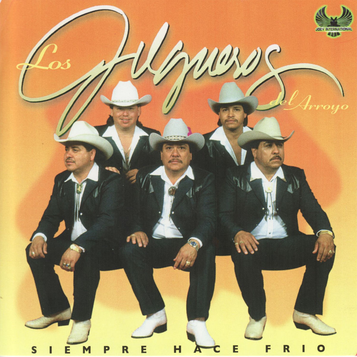 Album cover of Siempre Hace Frio