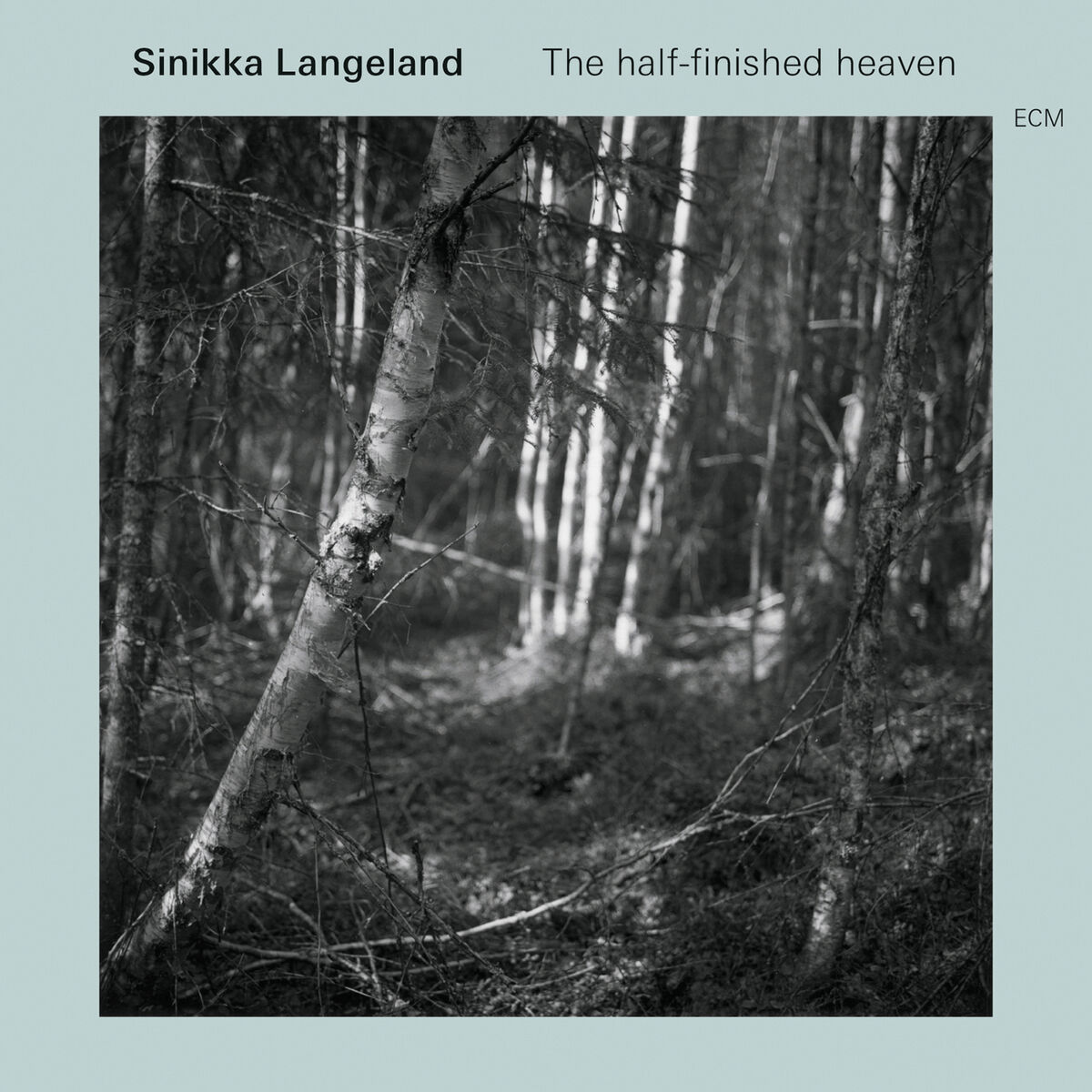 Album cover of The Half-Finished Heaven