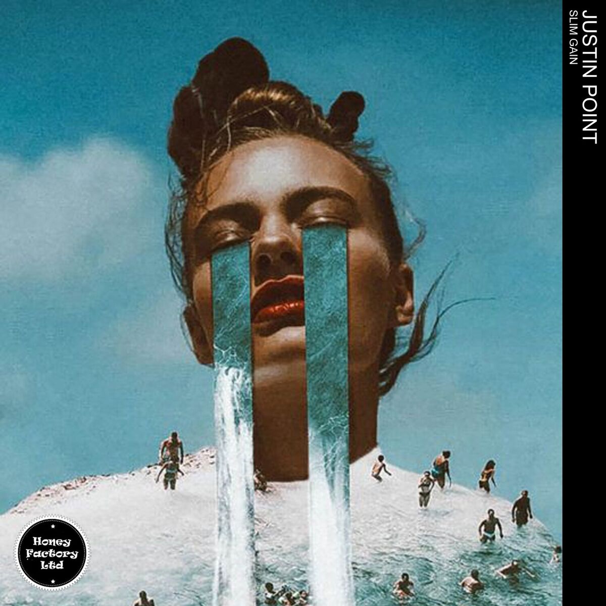 Album cover of Slim Gain