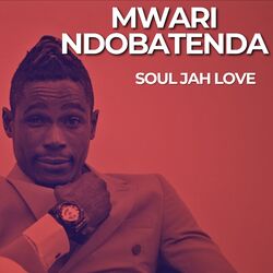 Cover of Mwari Ndobatenda