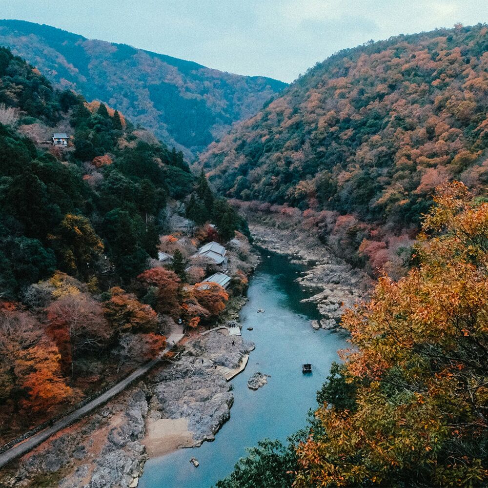 Picture of Lost in Japan II