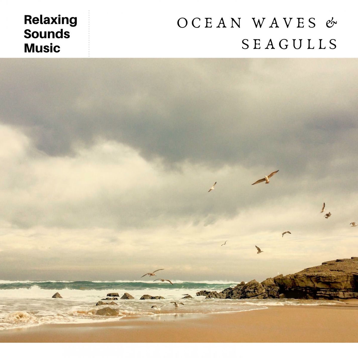 Album cover of Soothing Ocean Waves & Seagulls