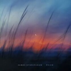 Cover of Prism
