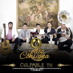 Cover of Culpable Tu