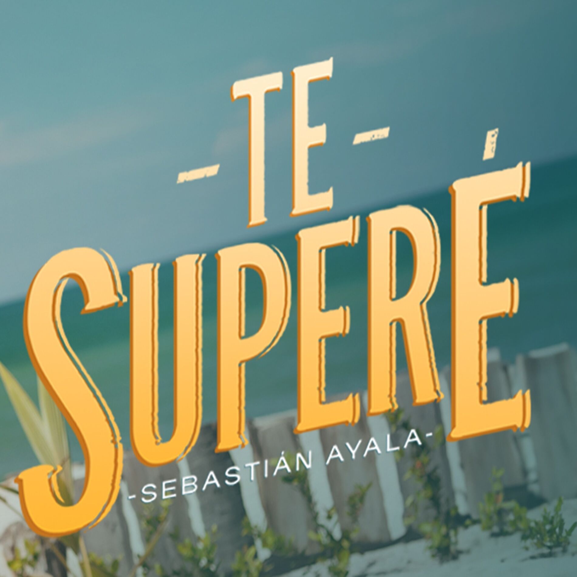 Album cover of Te Superé