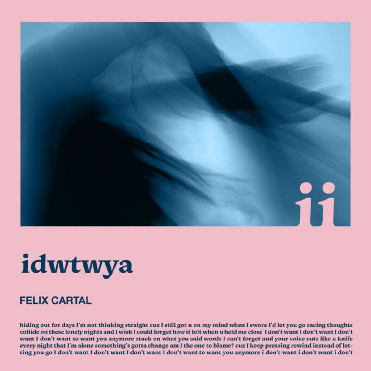 Album cover of idwtwya
