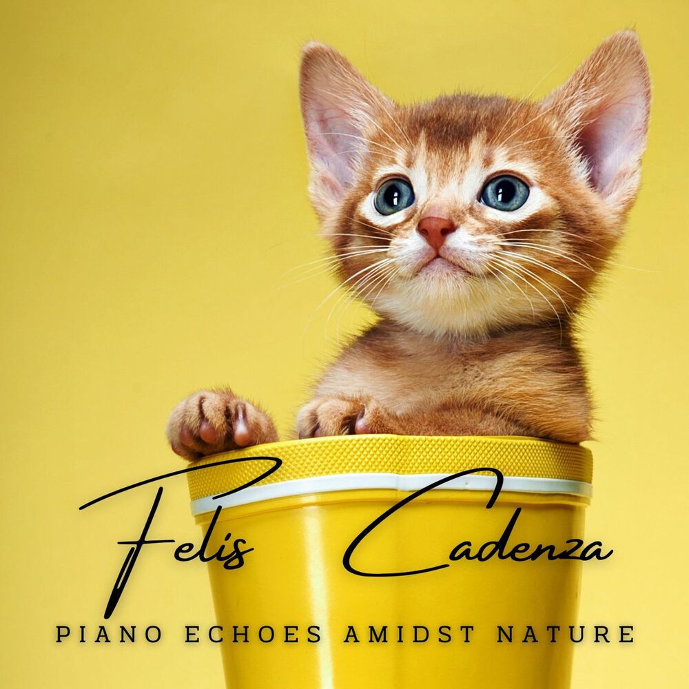 Picture of Felis Cadenza: Piano Echoes Amidst Nature