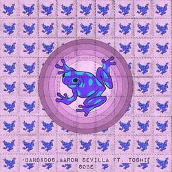 music cover