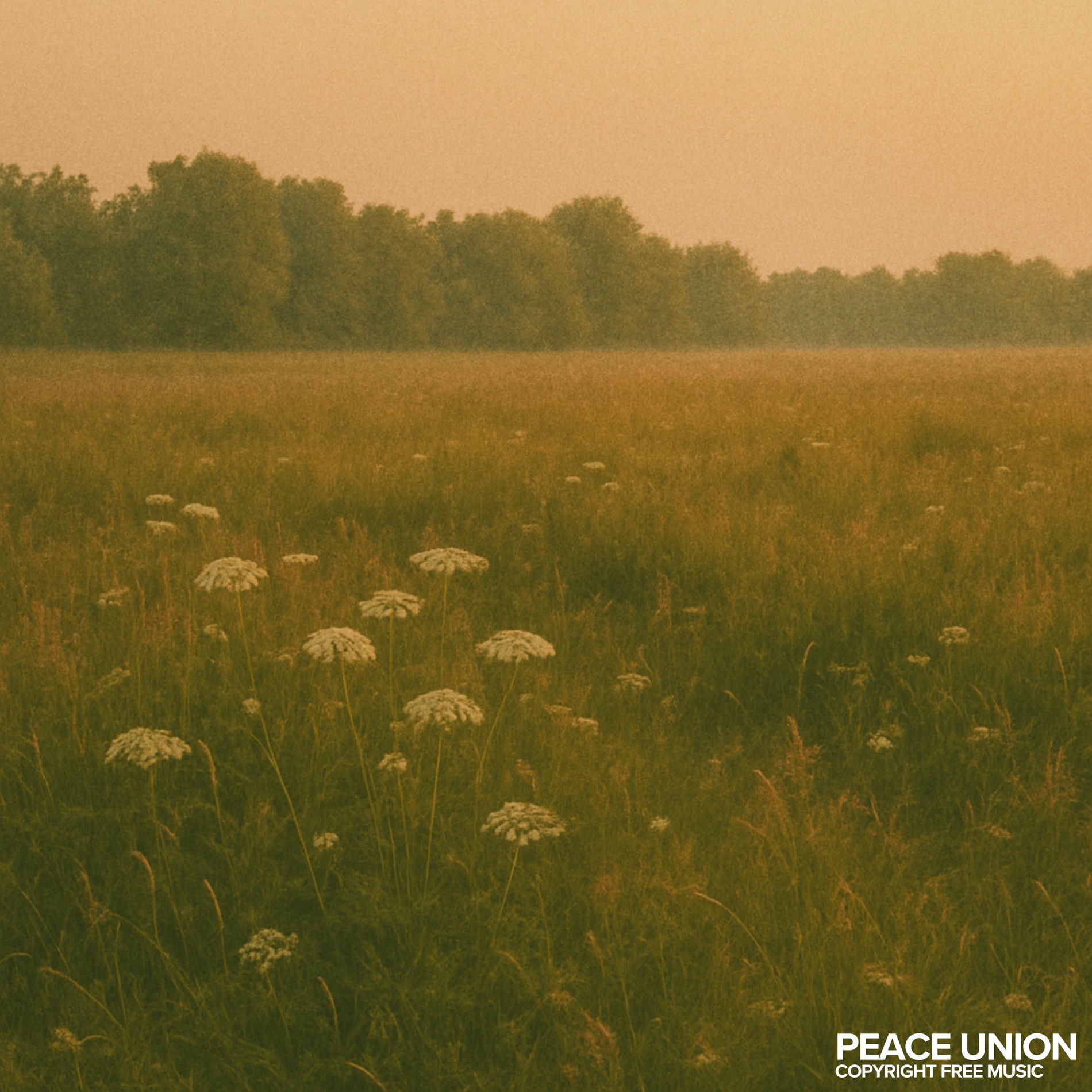 Album cover of Fewer Words