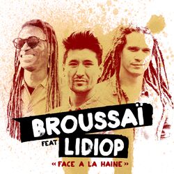 Cover of Face à la haine