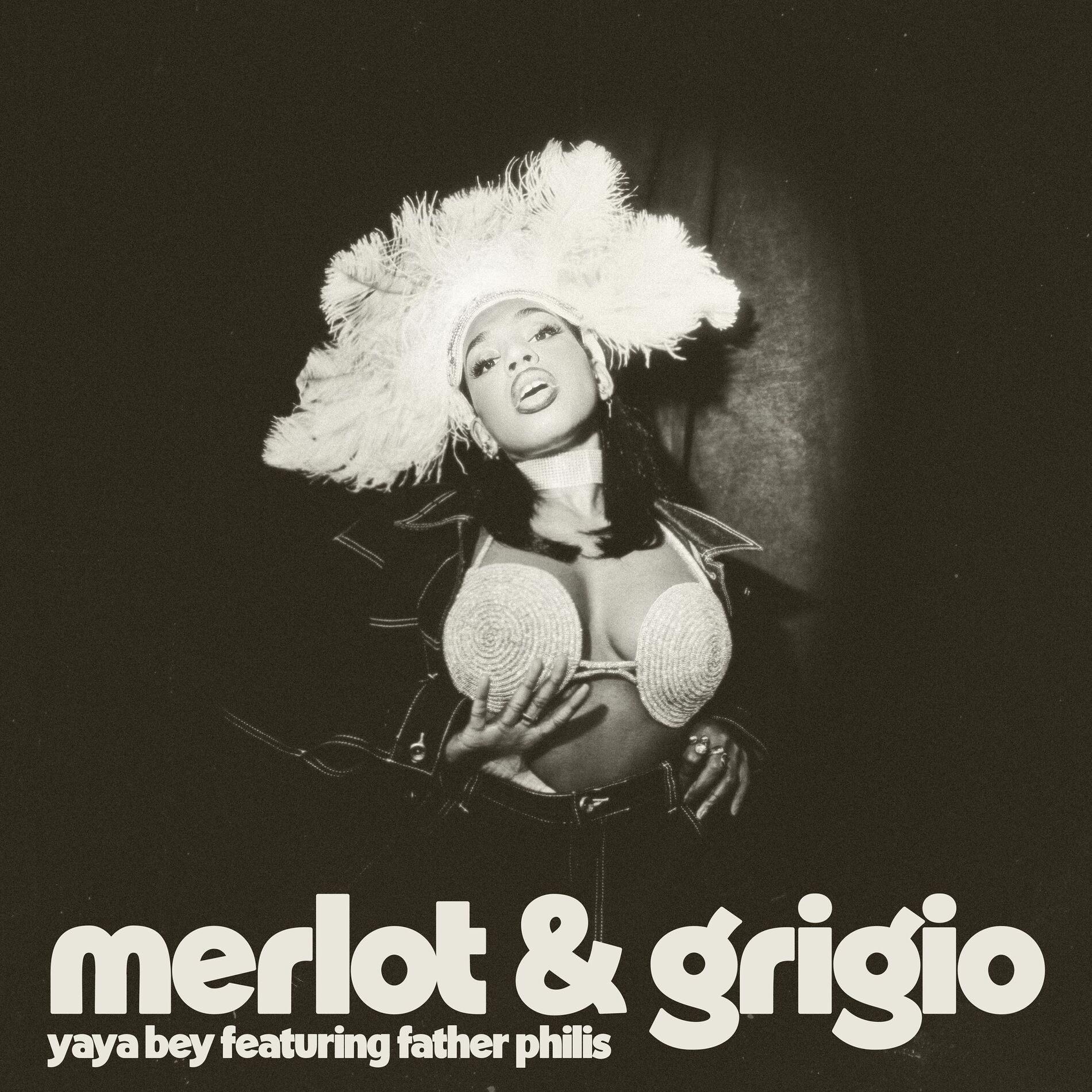 Album cover of merlot and grigio