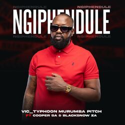 Cover of Ngiphendule (feat. Cooper SA, BLACKSNOW ZA)