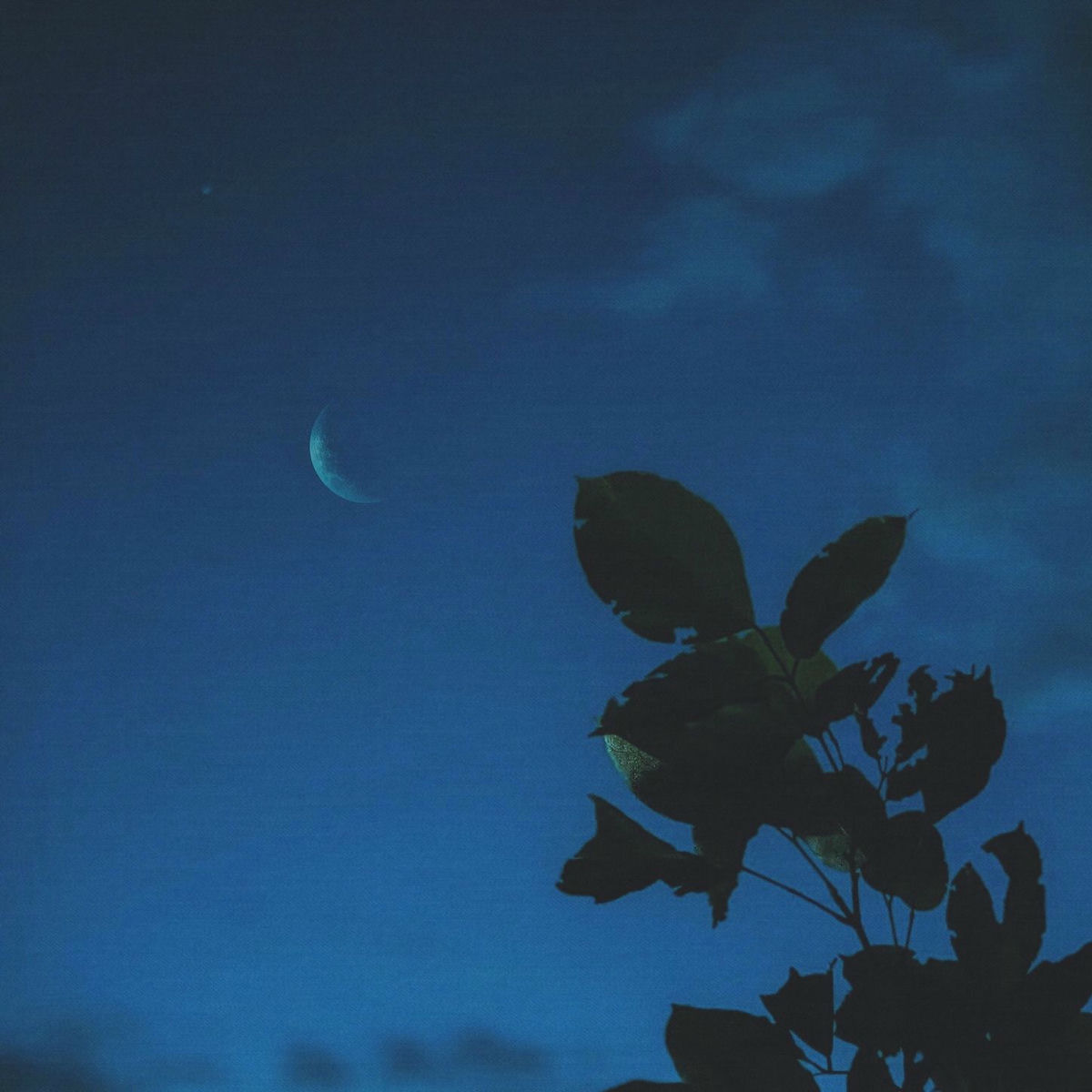 Album cover of it's okay to rest