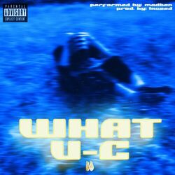 Cover of WHAT U-C
