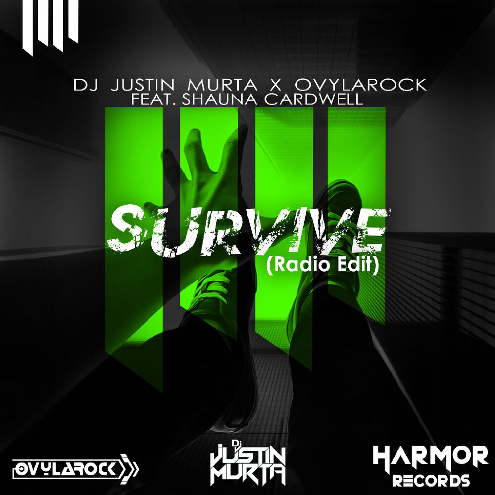 Picture of Survive (Radio Edit)