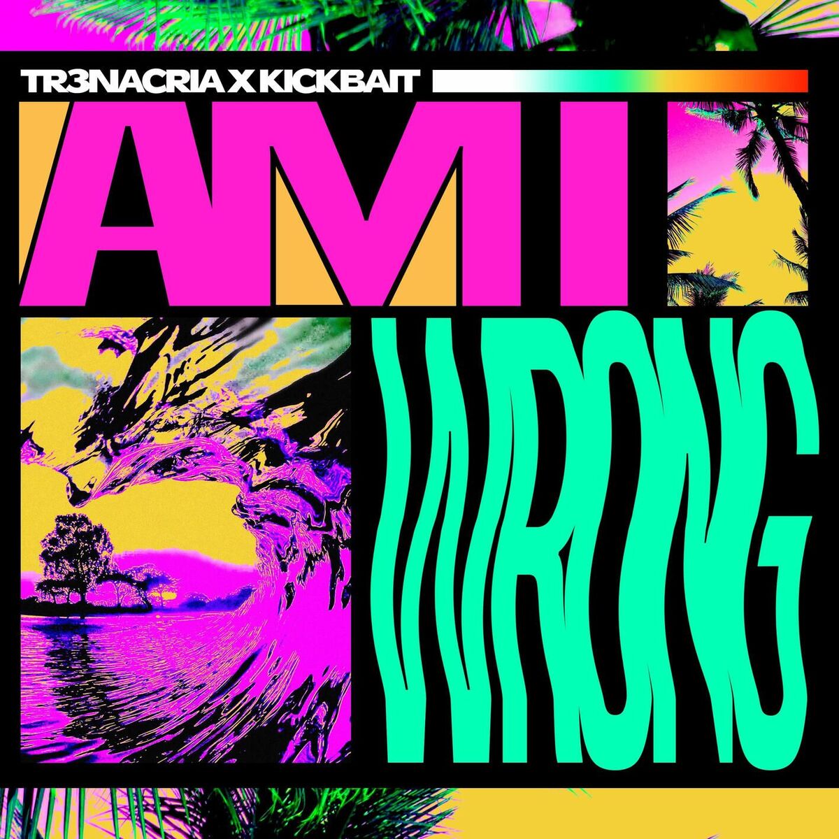 Album cover of Am I Wrong