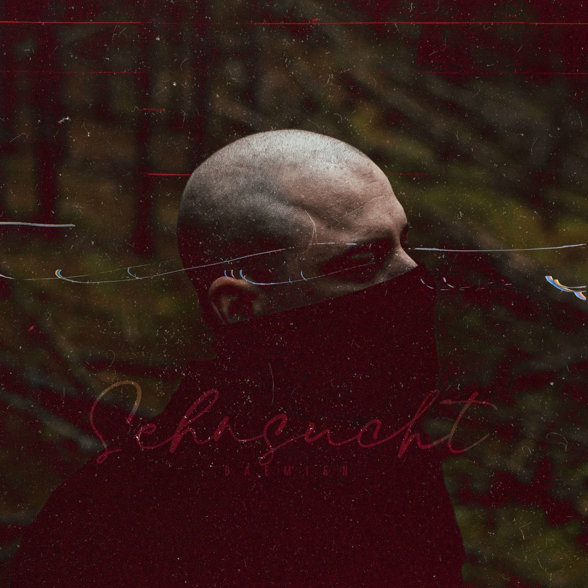 Album cover of Sehnsucht