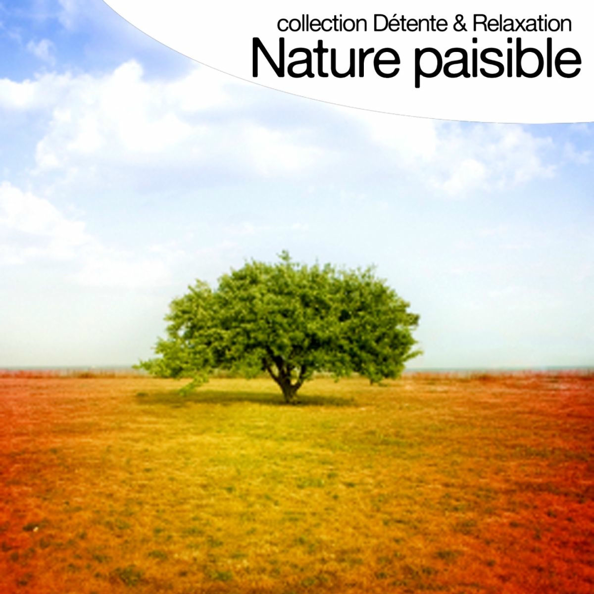 Album cover of Voyage de l'esprit