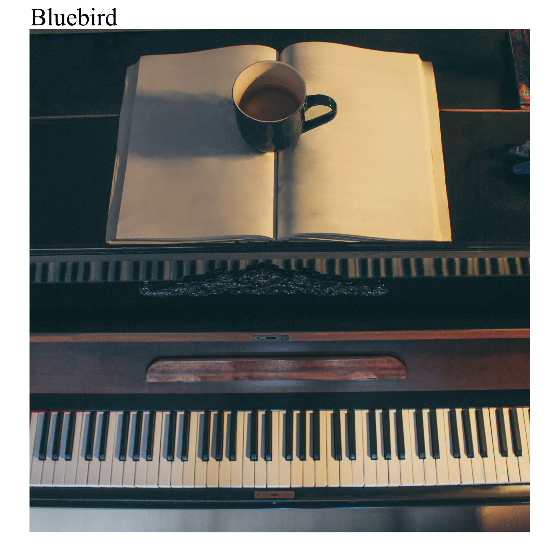 Album cover of Bluebird