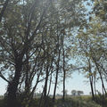 summer postcards