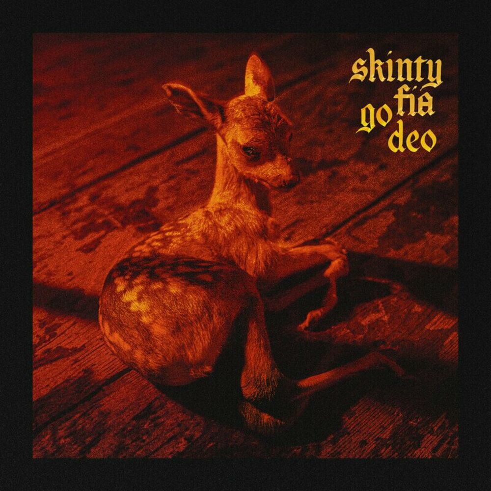 Picture of Skinty Fia go deo